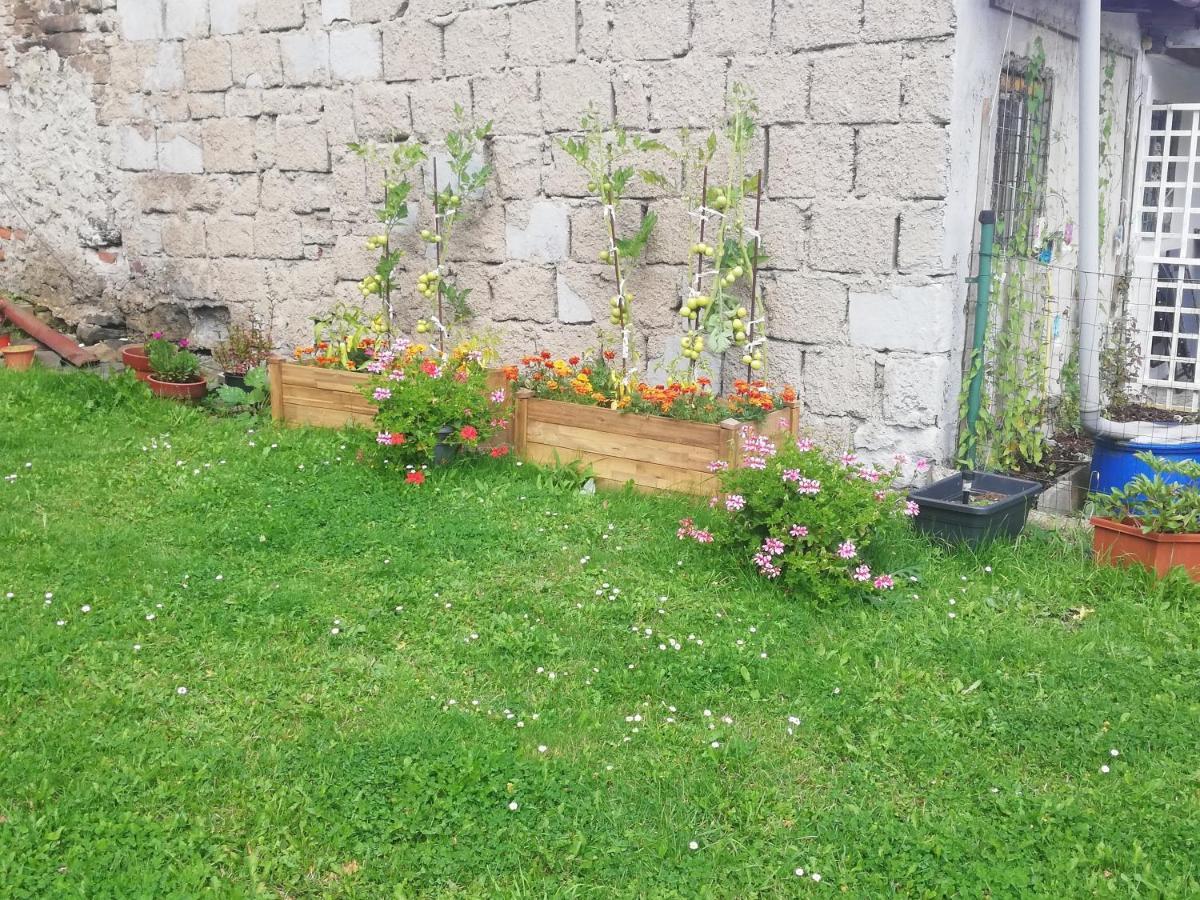Apartman Petra Kovářská Exterior foto